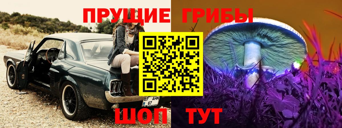 Спасск-Дальний  Галлюциногенные грибы Cubensis  Галлюциногенные грибы мухоморы  Вход с VPN 