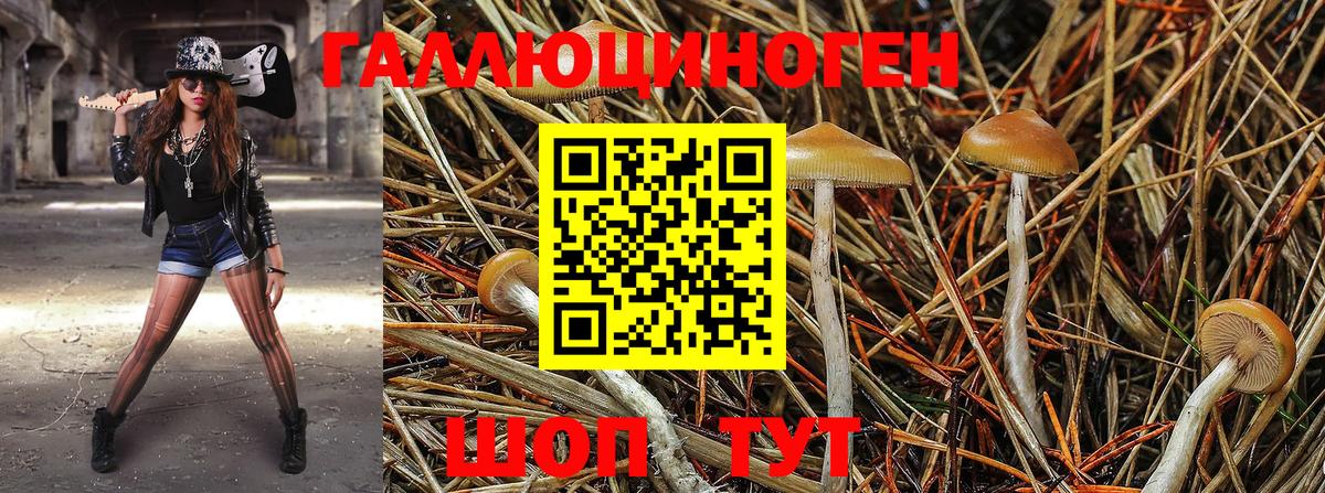 Галлюциногенные грибы GOLDEN TEACHER Спасск-Дальний